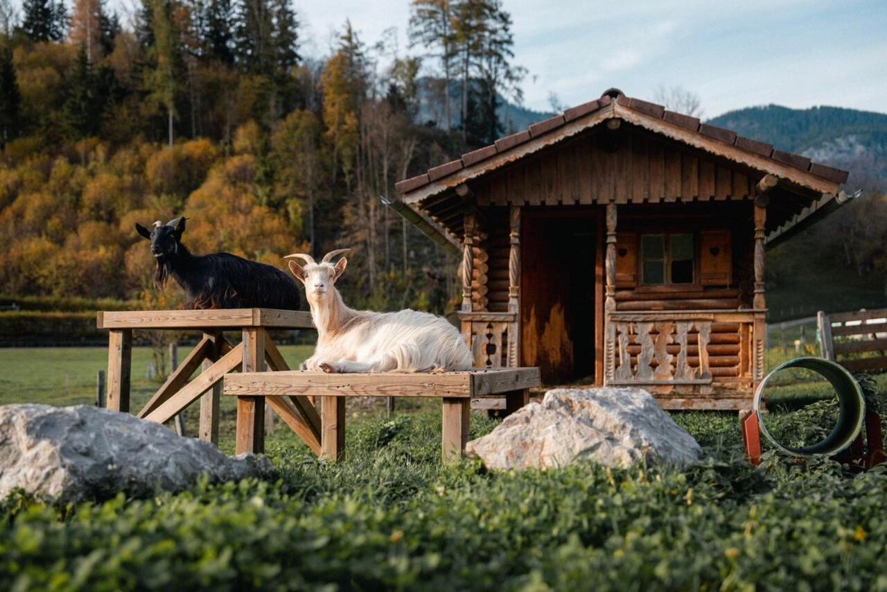 Pension Glitschnerhof Aigen im Ennstal Eksteriør billede